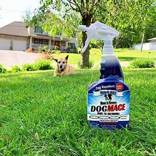 Dog Repellent and Training Tool E723805