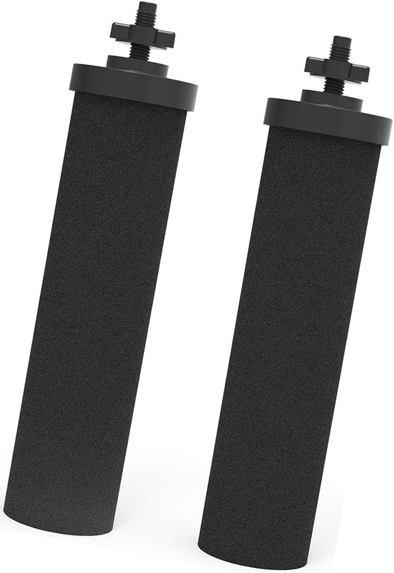 BB9-2 Water Filter Replacement Gravity System Filters (2 Pack) Q899100