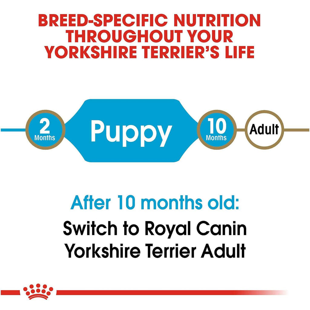 Yorkshire Terrier Puppy Dry Dog Food F4351