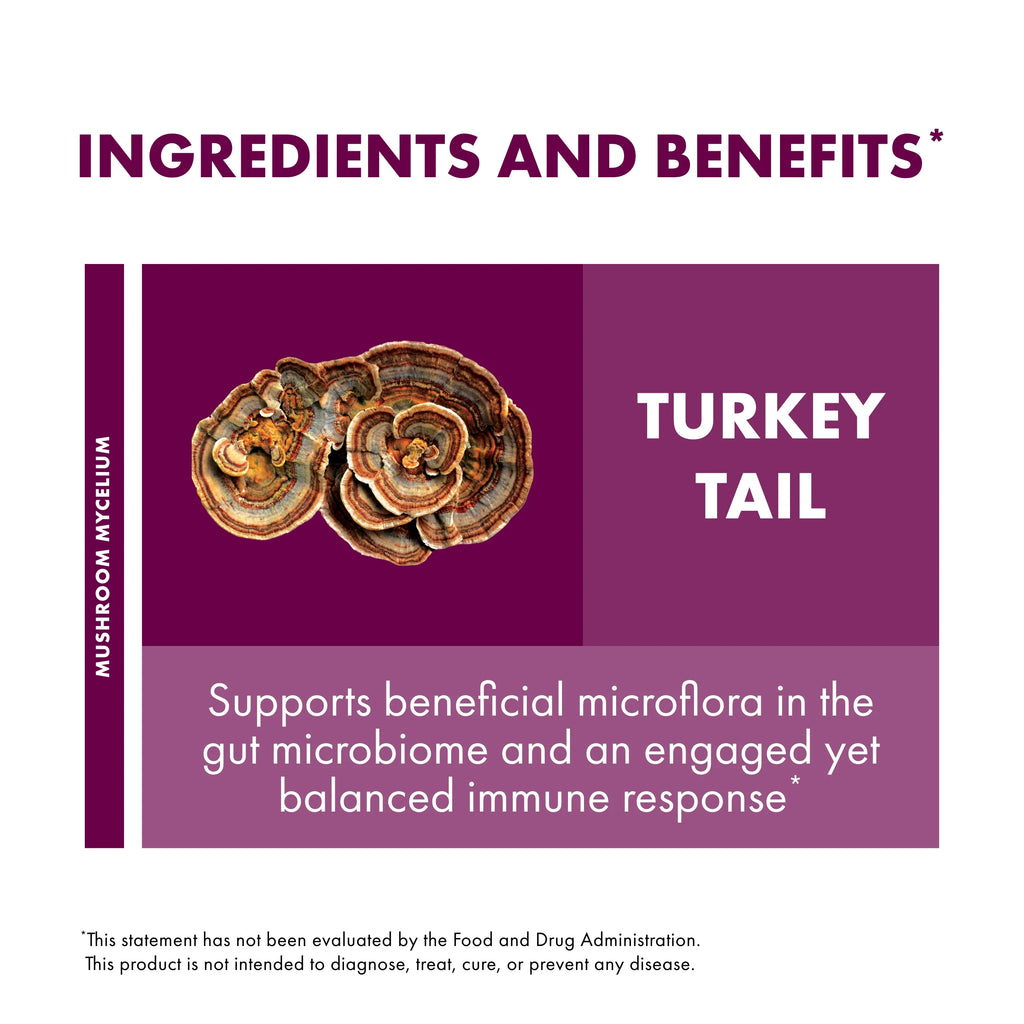 Turkey Tail Mushroom Supplement 60 Capsules W56459