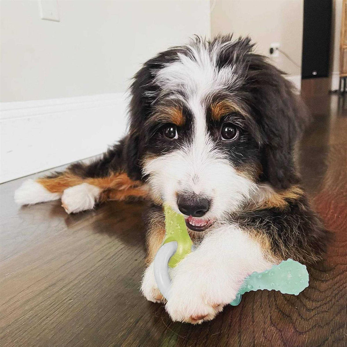 Puppy Chew Teething Pacifier Toy W657767