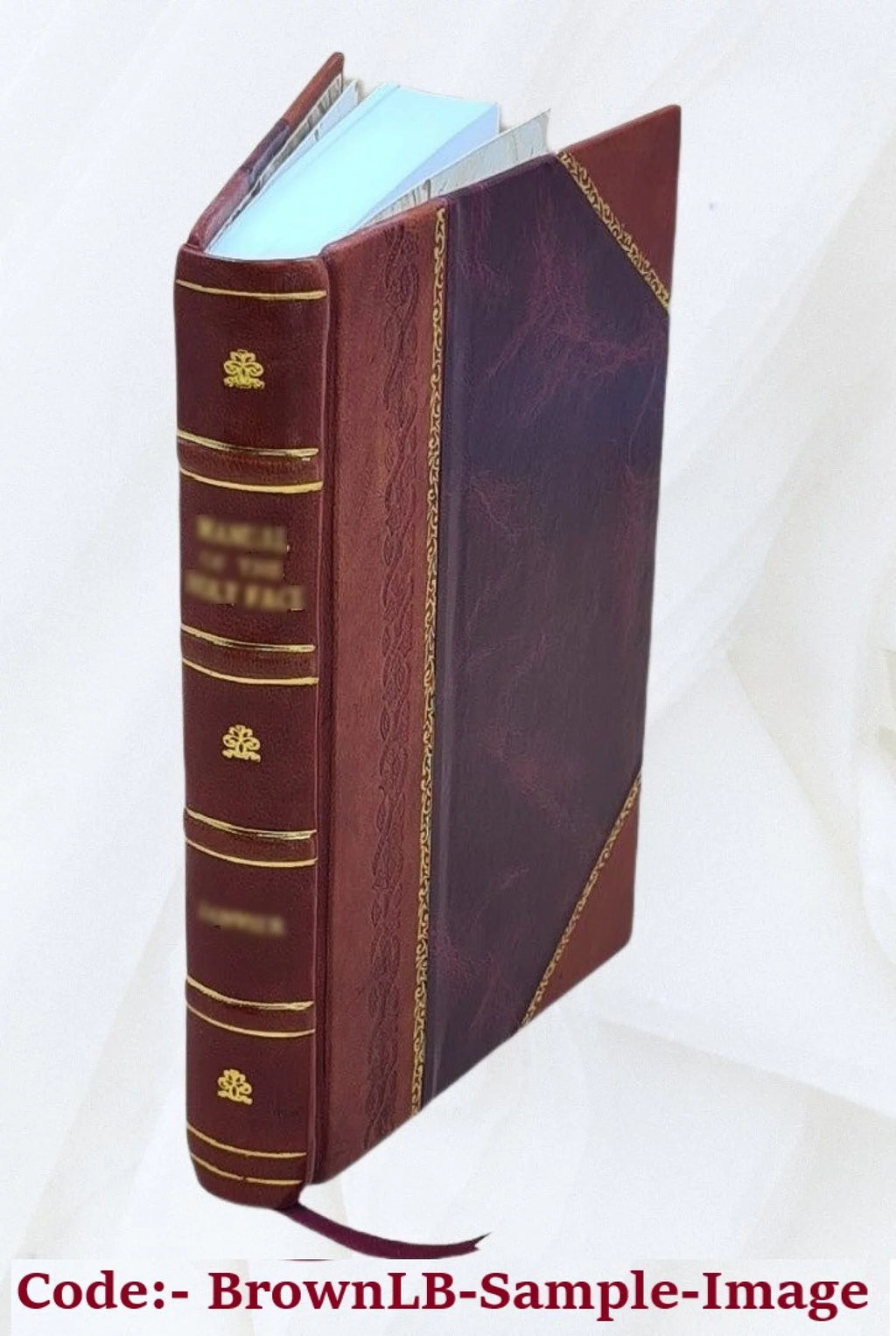 1917 Leather Bound Q225