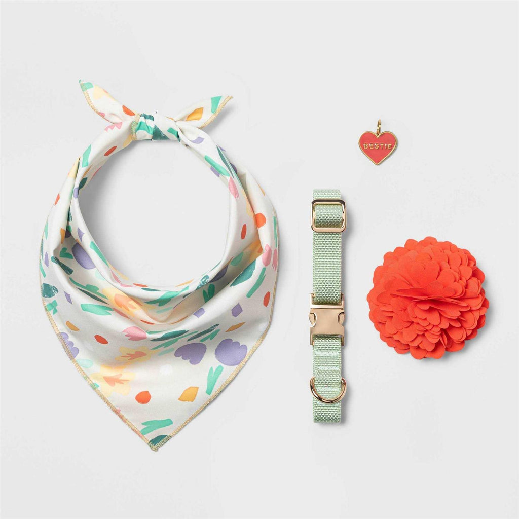 Solid Dog Collar Y50530