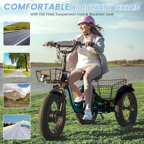 Electric Tricycle, 20" x 4" Fat Tire, 48V 500W, 7 Speed, Aluminum Frame P14047