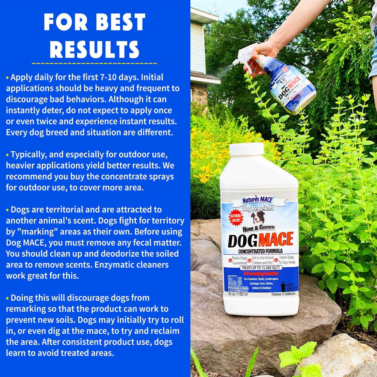 Dog Repellent and Training Tool E723805