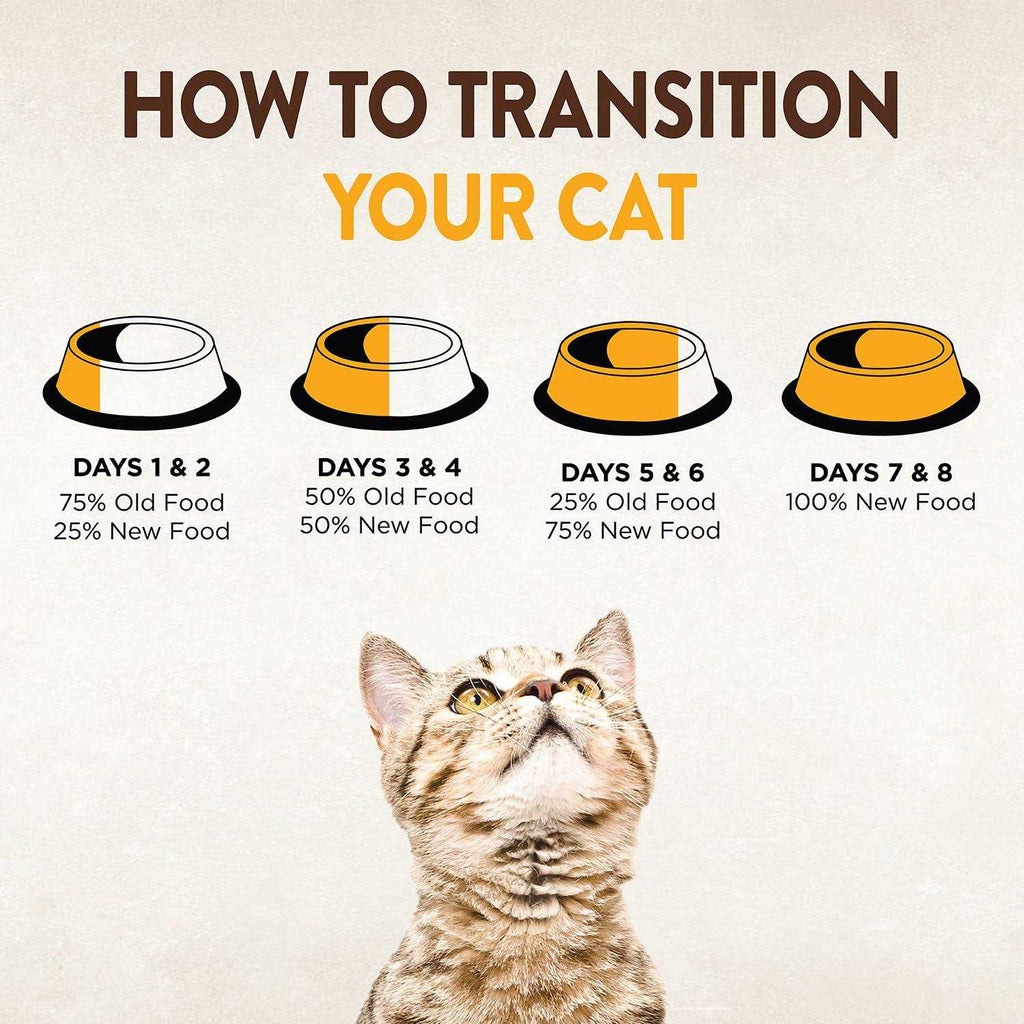 Dry Cat Food R26210