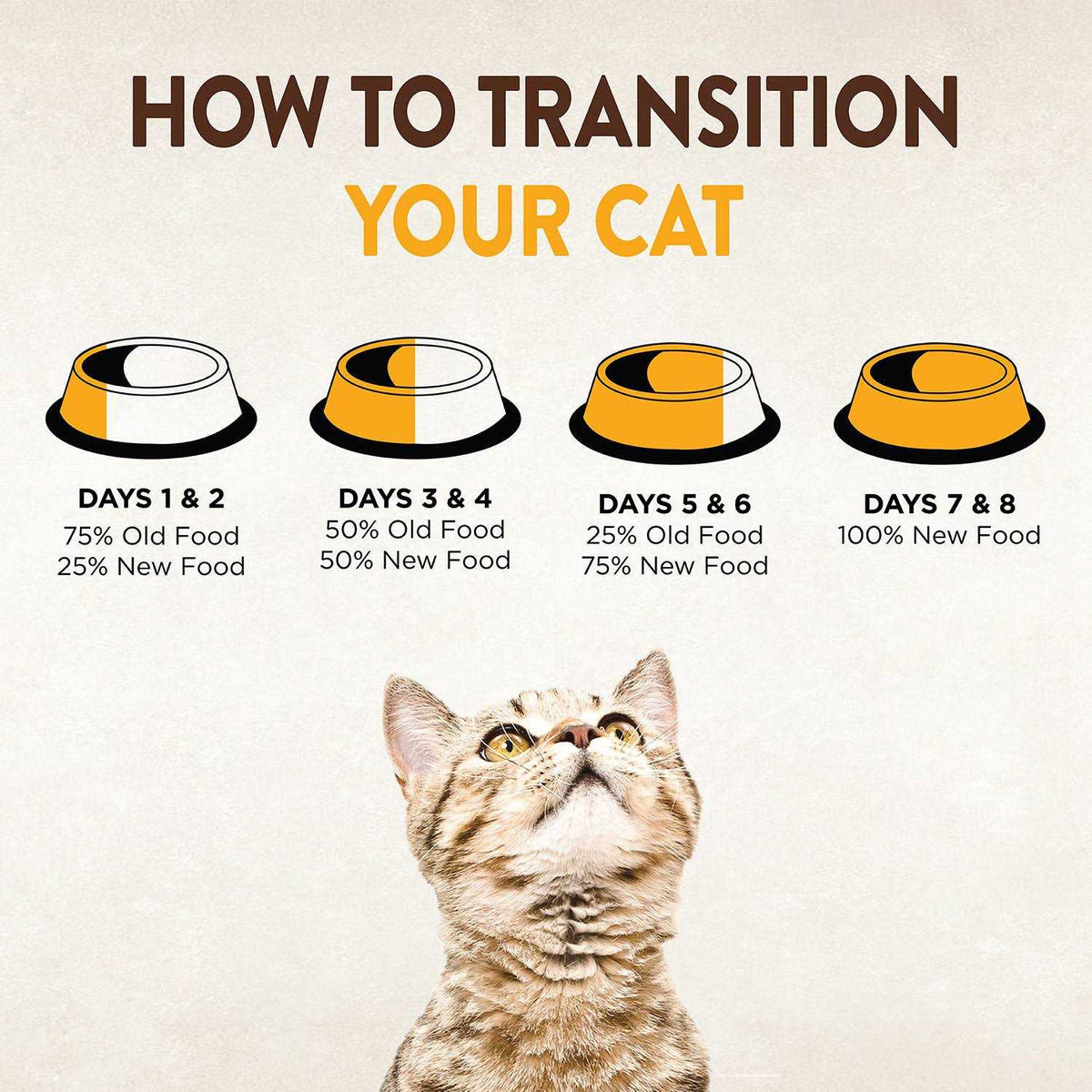 Dry Cat Food R26210