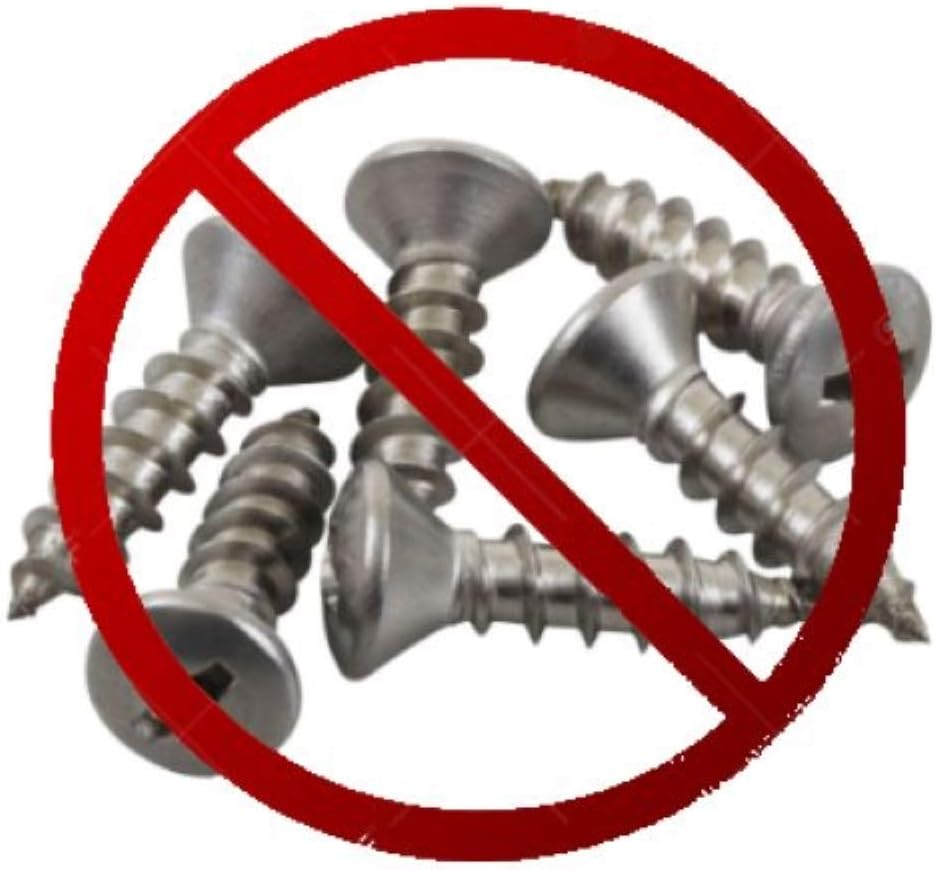 Stainless Steel Screw Kit Pack of 2 B430546