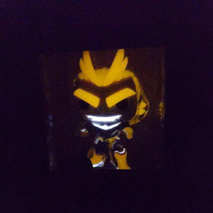 Glows in The Dark Funko Pop Y528209