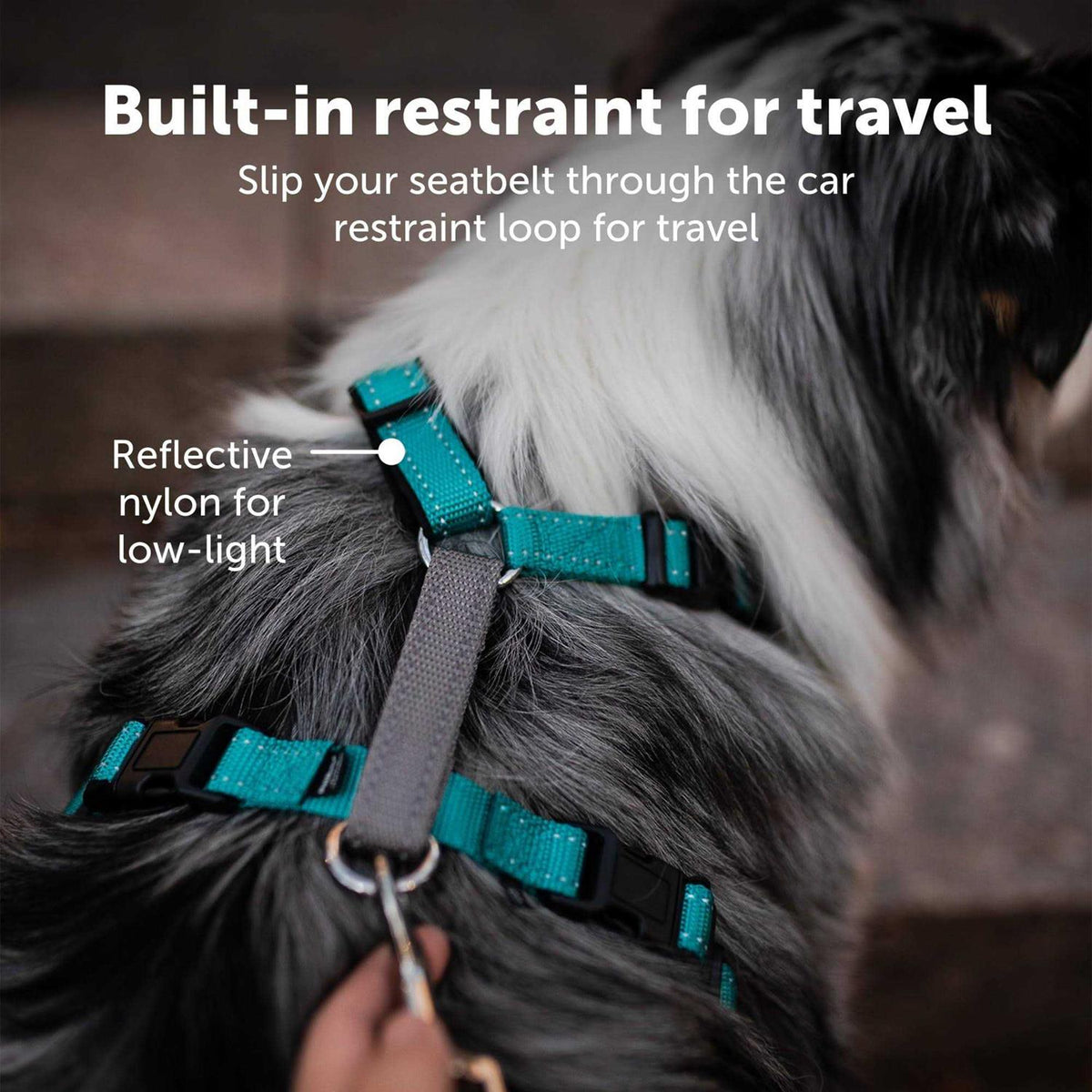 3 in 1 Harness K585