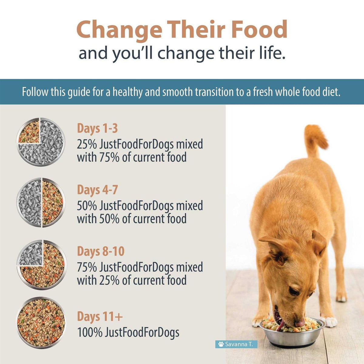 Rice Frozen Dog Food W721