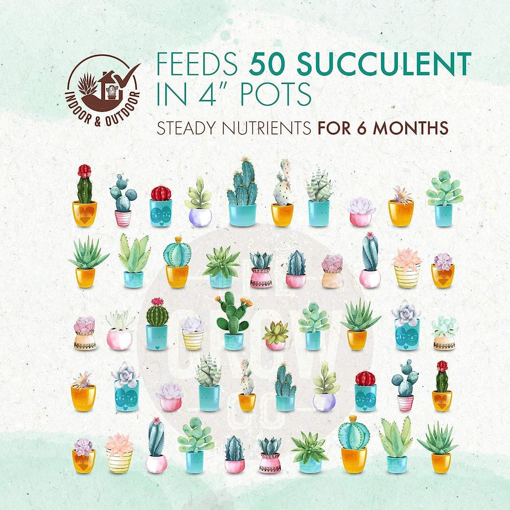 Succulent & Cactus Plant Food Slow Release Fertilizer (5 oz) F7267