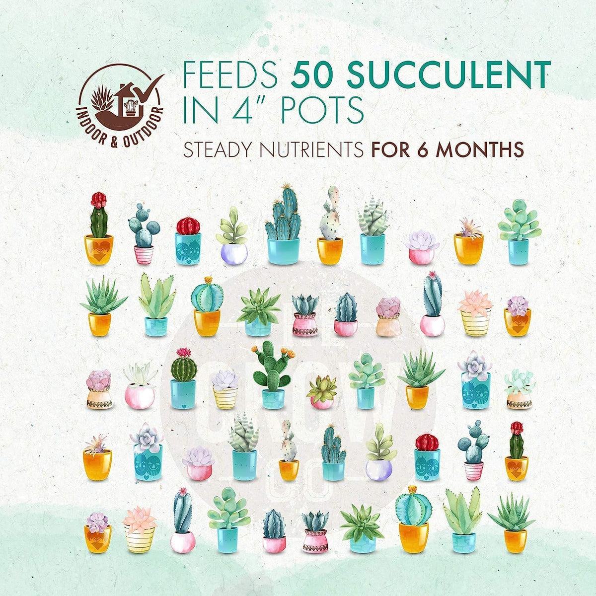 Succulent & Cactus Plant Food Slow Release Fertilizer (5 oz) F7267