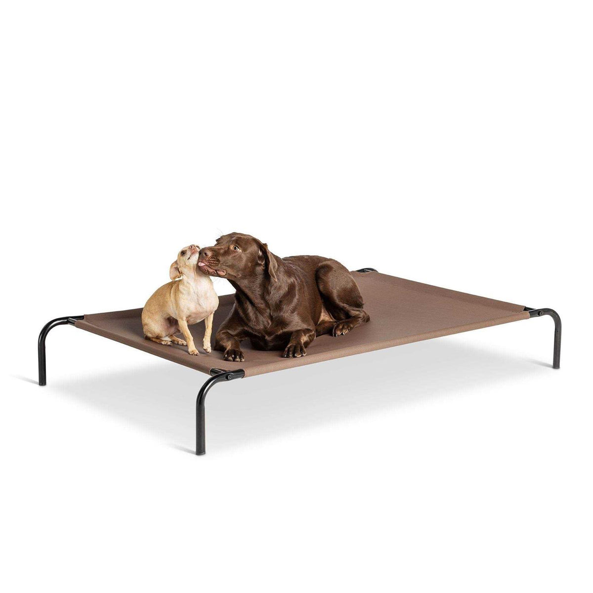 Elevated Dog Bed C63895
