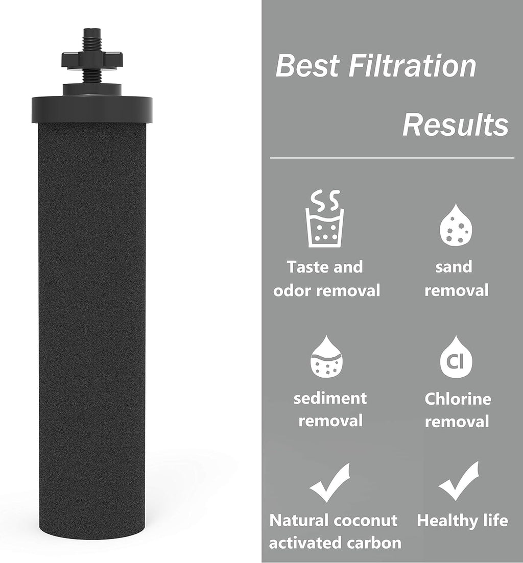 BB9-2 Water Filter Replacement Gravity System Filters (2 Pack) Q899100