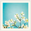 White Frame Photographic Print Z418