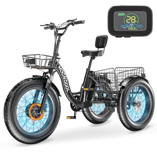 Electric Tricycle, 20" x 4" Fat Tire, 48V 500W, 7 Speed, Aluminum Frame P14047
