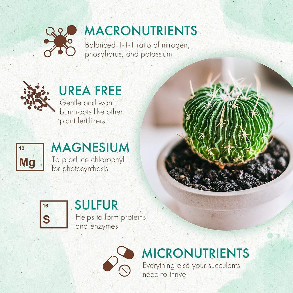 Succulent & Cactus Plant Food Slow Release Fertilizer (5 oz) F7267