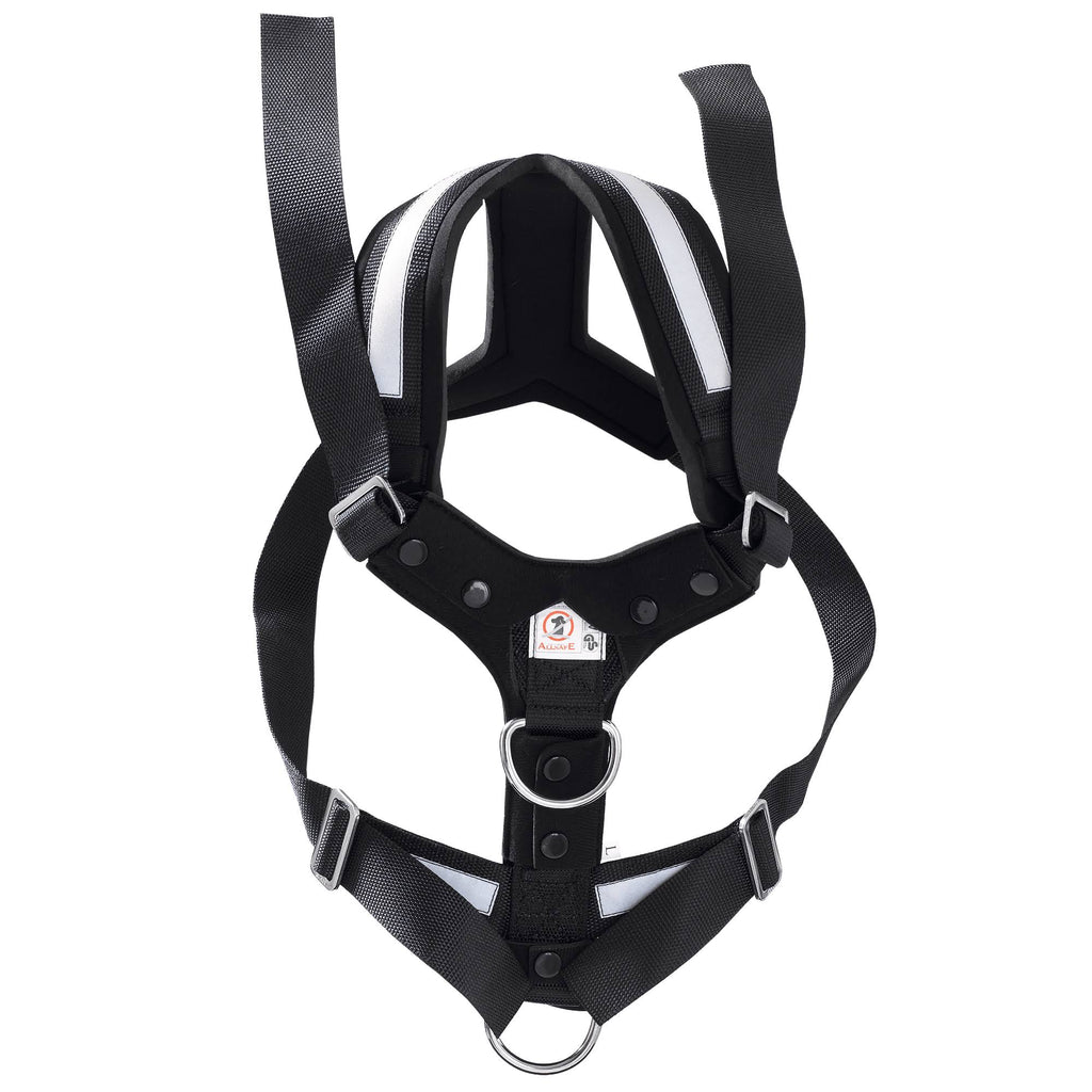Large Harness E60609