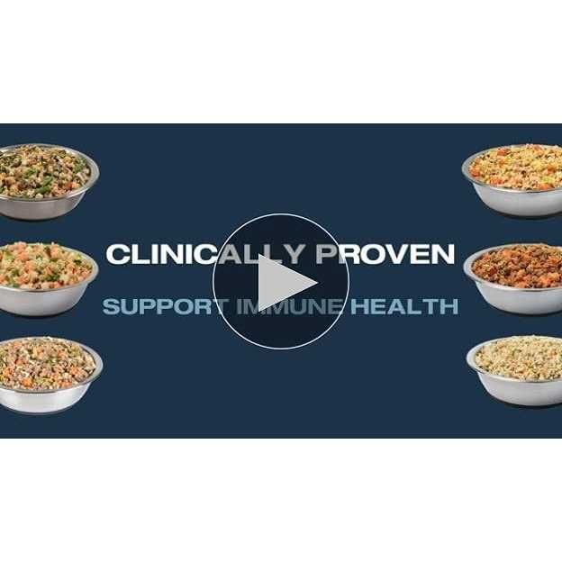 Rice Frozen Dog Food W721