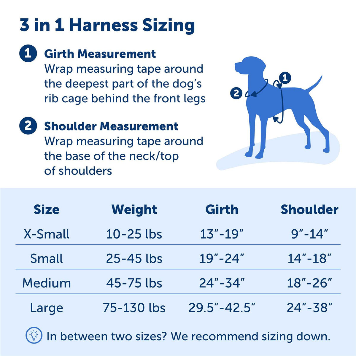 3 in 1 Harness K585