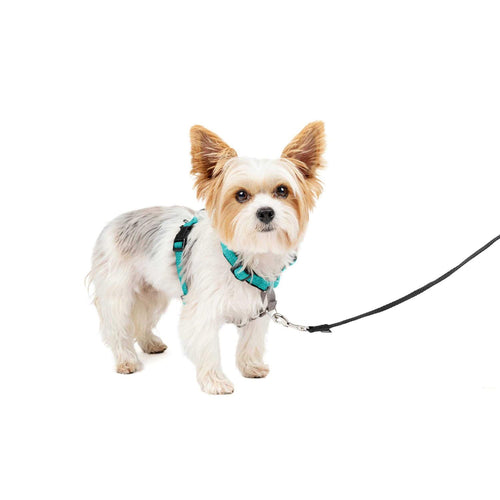 3 in 1 Harness K585