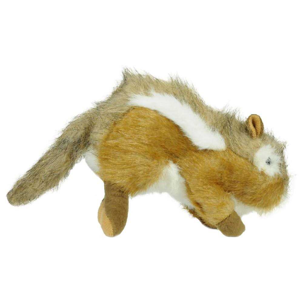 Dog Wildlife Chipmunk X362122