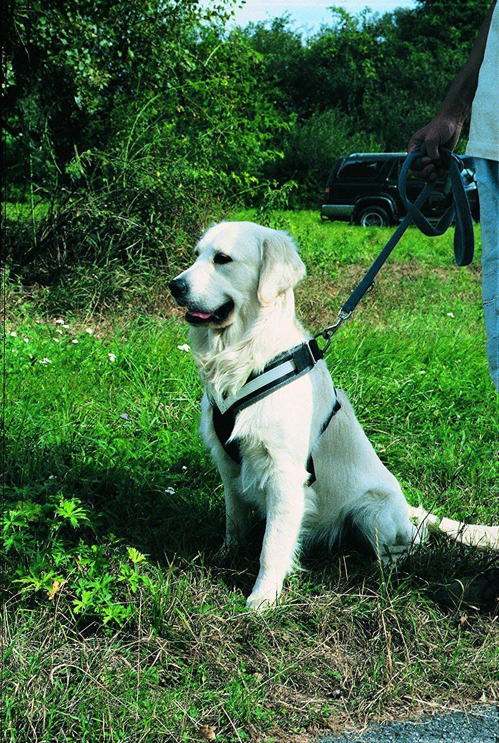 Large Harness E60609