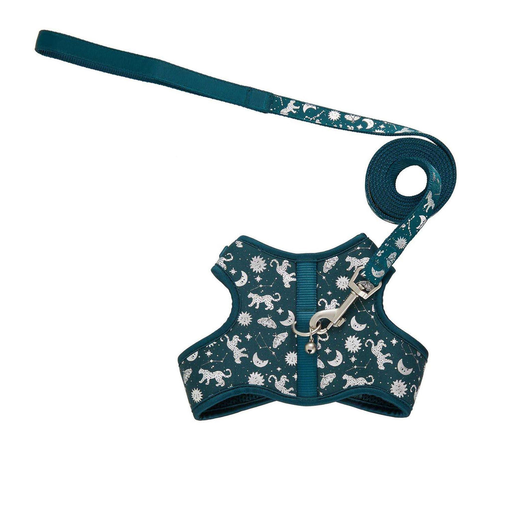 Cat Leash and Harness Combo J834710