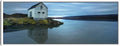 22X22 Canvas Art N102326