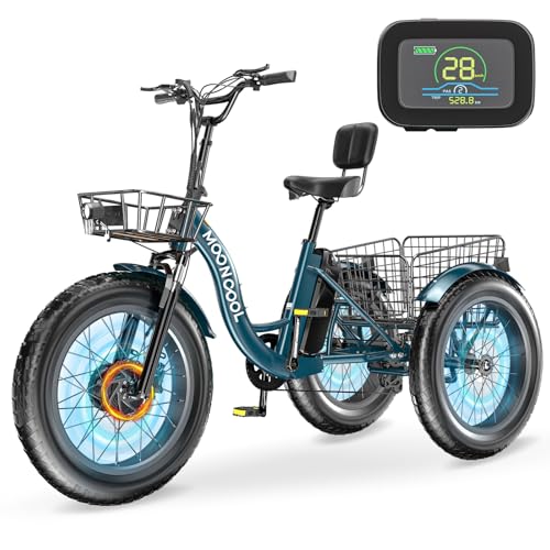 Electric Tricycle, 20" x 4" Fat Tire, 48V 500W, 7 Speed, Aluminum Frame P14047