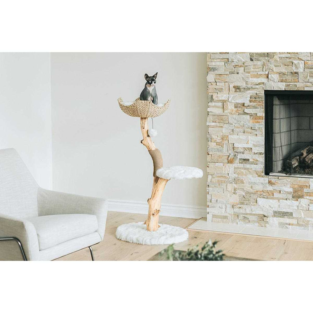 Cat Tree V623