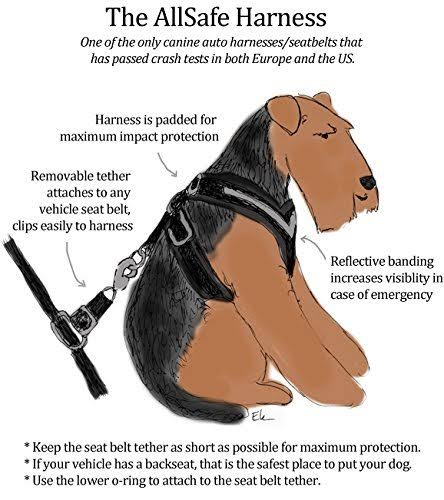 Large Harness E60609