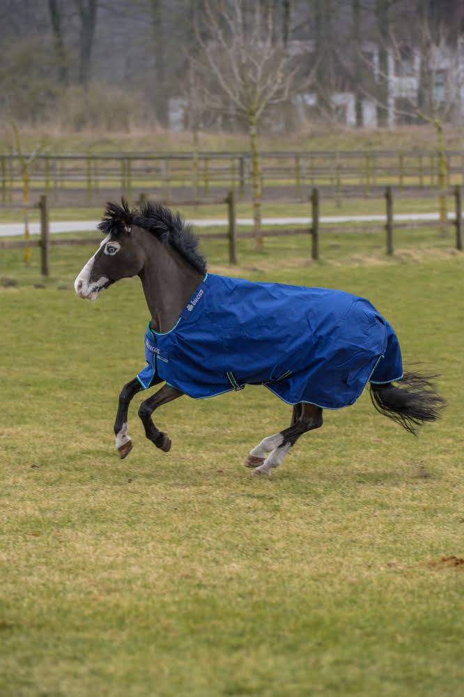Blue Smartex Extra P301210
