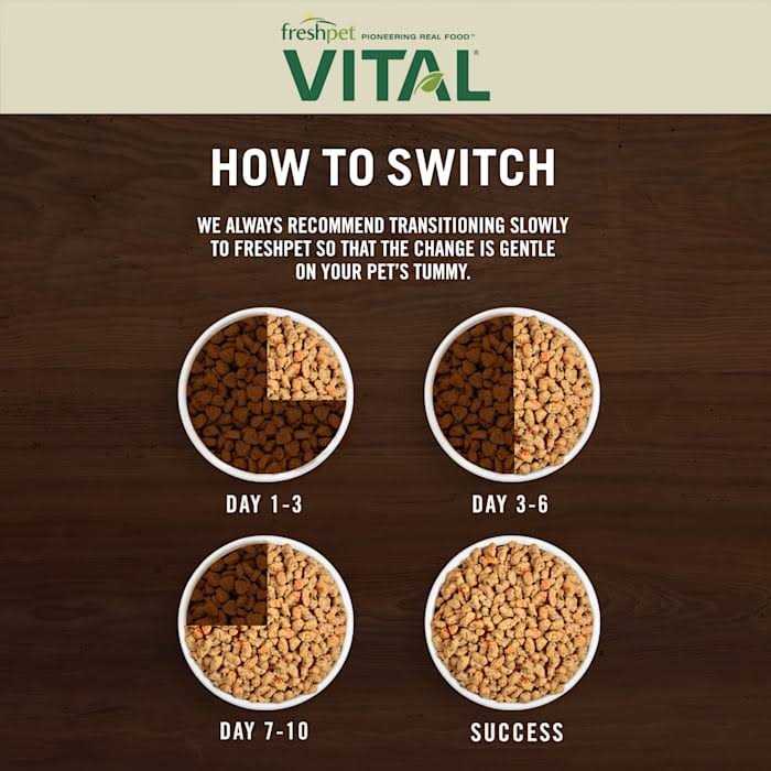 Grain-Free Chicken Recipe Cat Food E843145