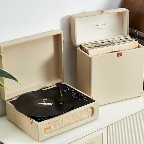 Vinyl Record Storage and Carrying Case, Holds 30 Albums D964929