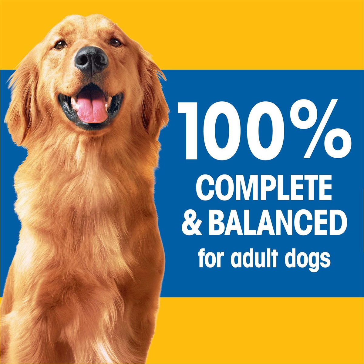 Pedigree Adult Complete Nutrition Roasted Chicken Rice & Vegetable Dry Dog Food U497