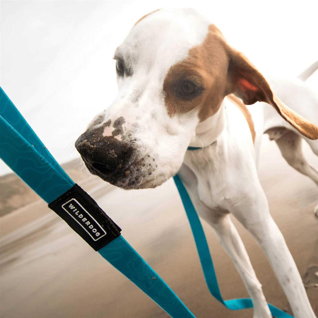 Waterproof Leash K331798