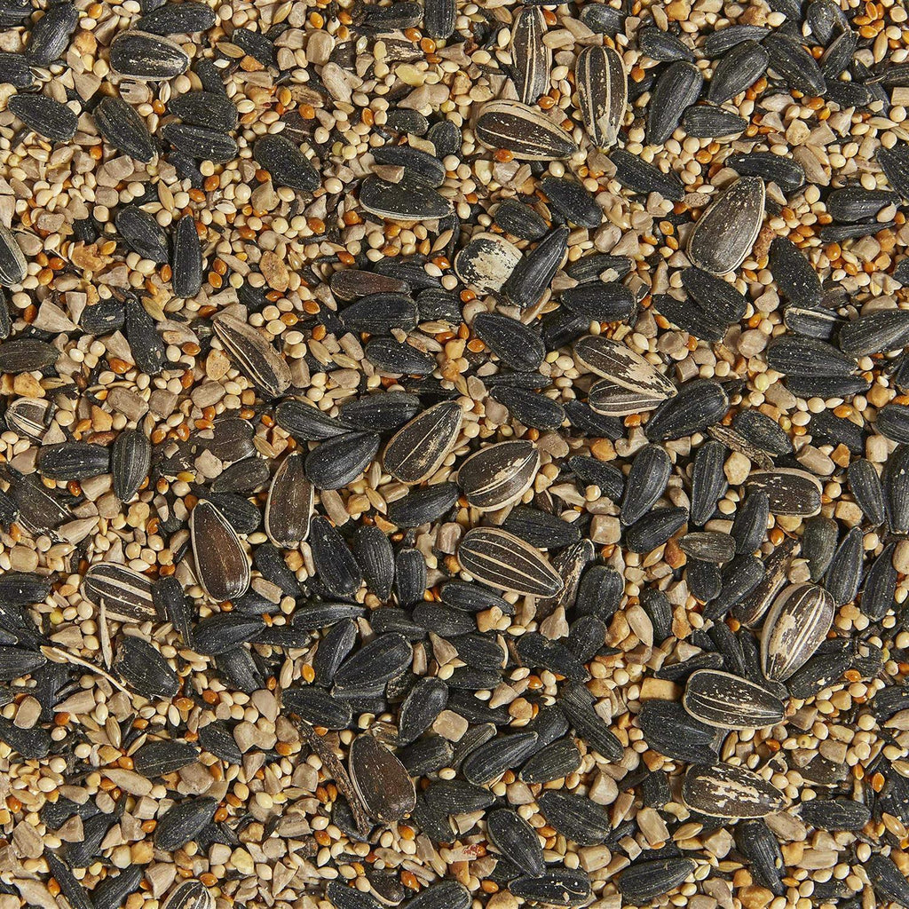 Western Regional Blend Wild Bird Food G133907