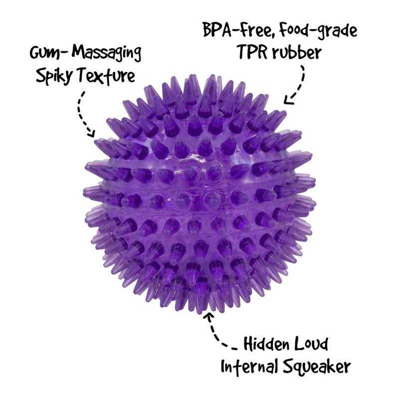 Squeaker Ball Dog Toy T677