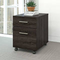 2-Drawer Mobile Vertical Filing Cabinet O3604