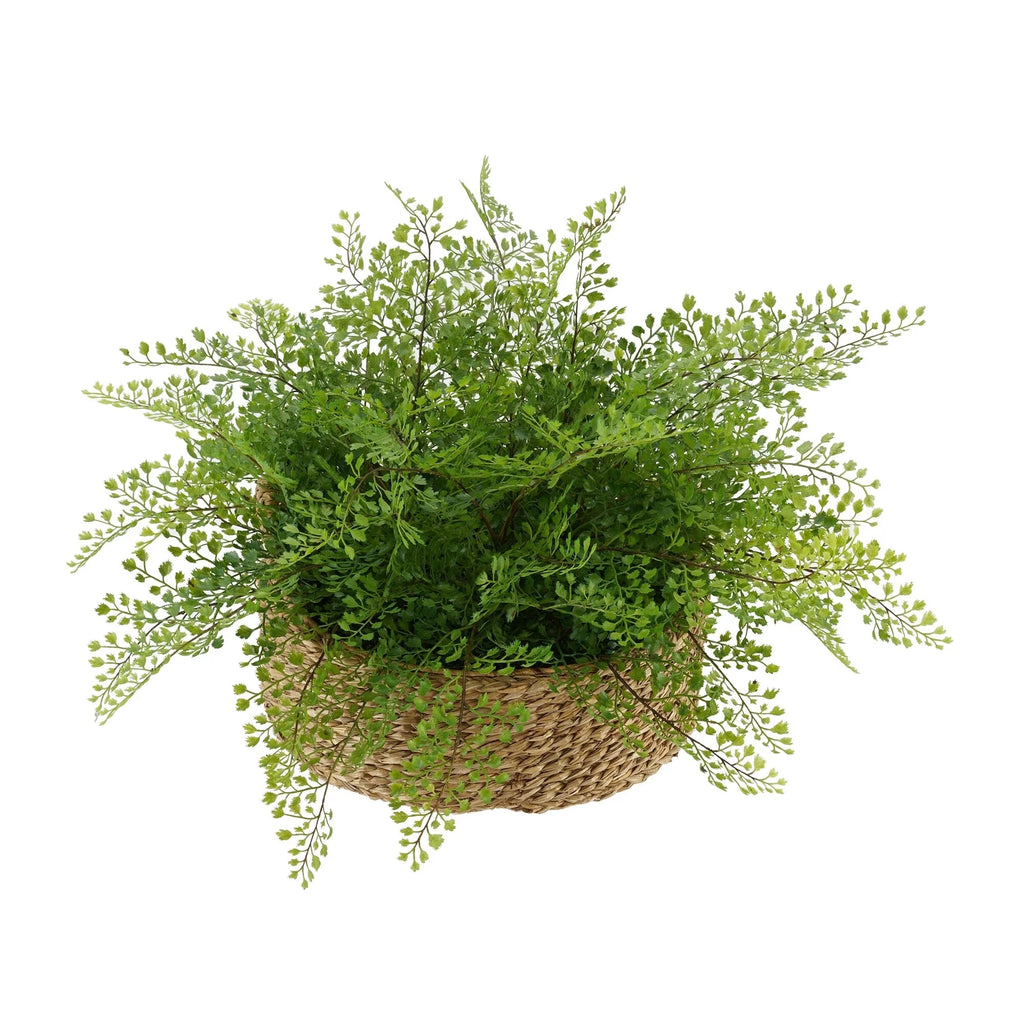 Faux Maidenhair Fern in Seagrass Tray Basket D310