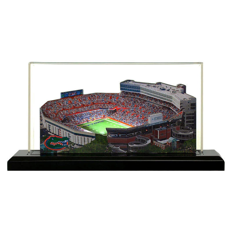 Light Up Stadium with Display Case T9939