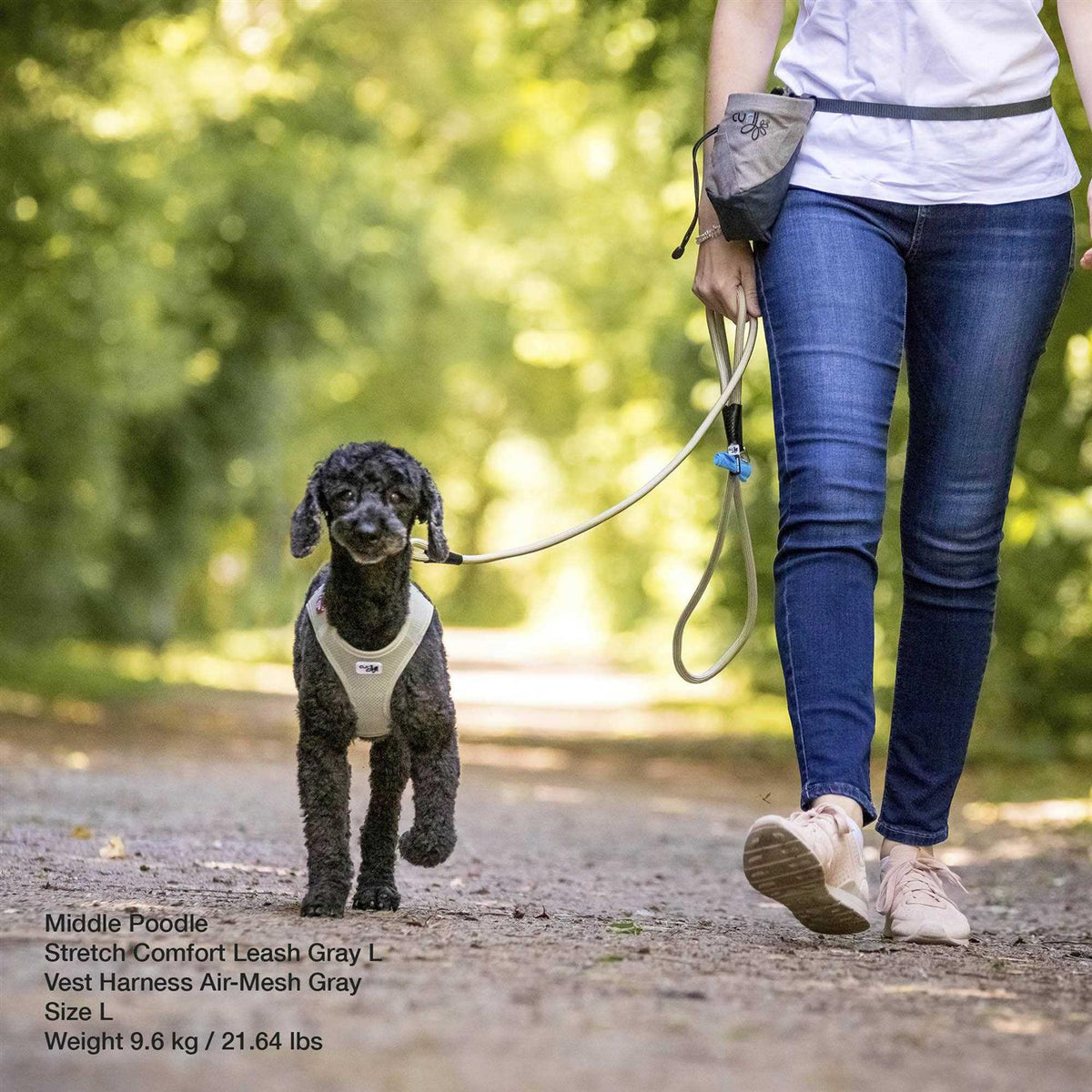 Comfort Leash Z37273