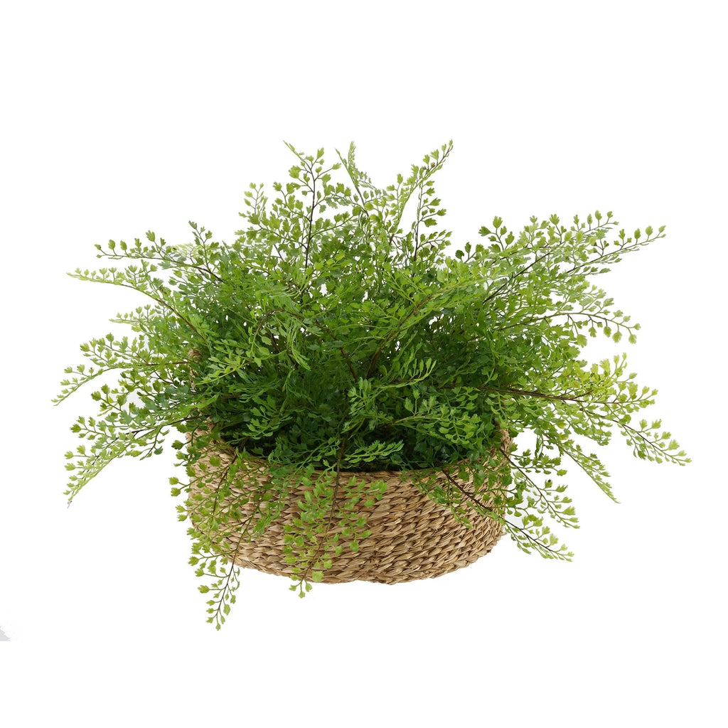 Faux Maidenhair Fern in Seagrass Tray Basket D310