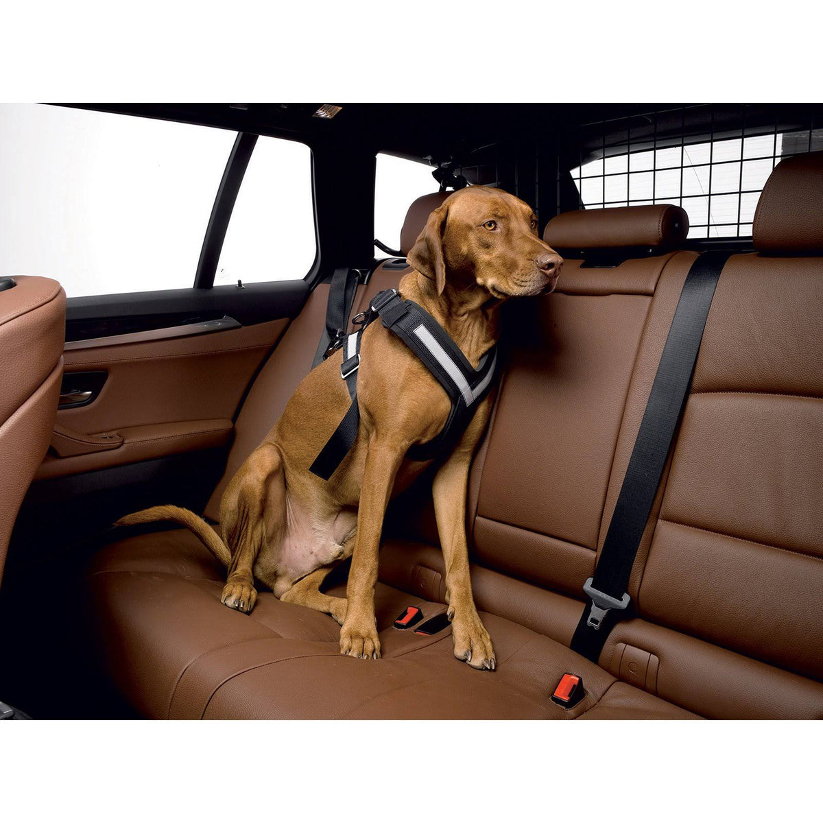 Large Harness E60609