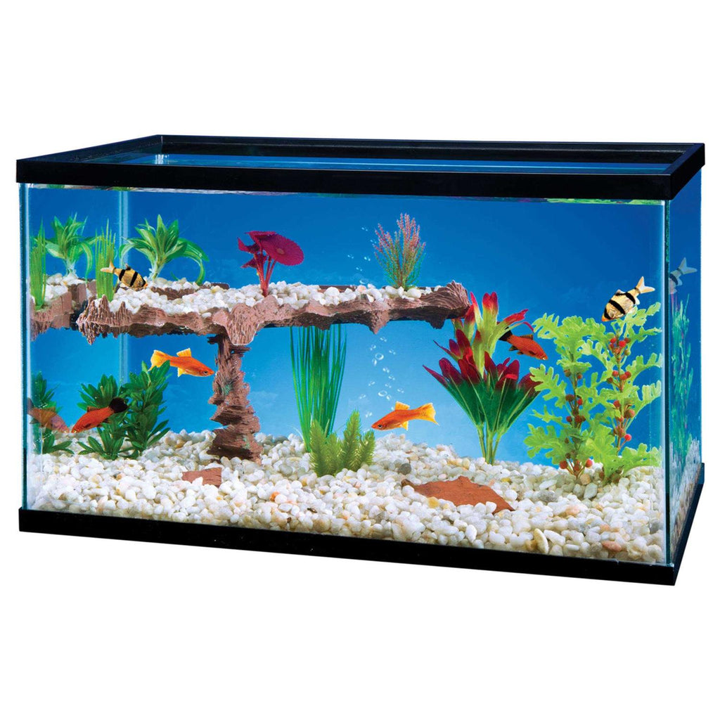 Aquarium Shelf System J4961