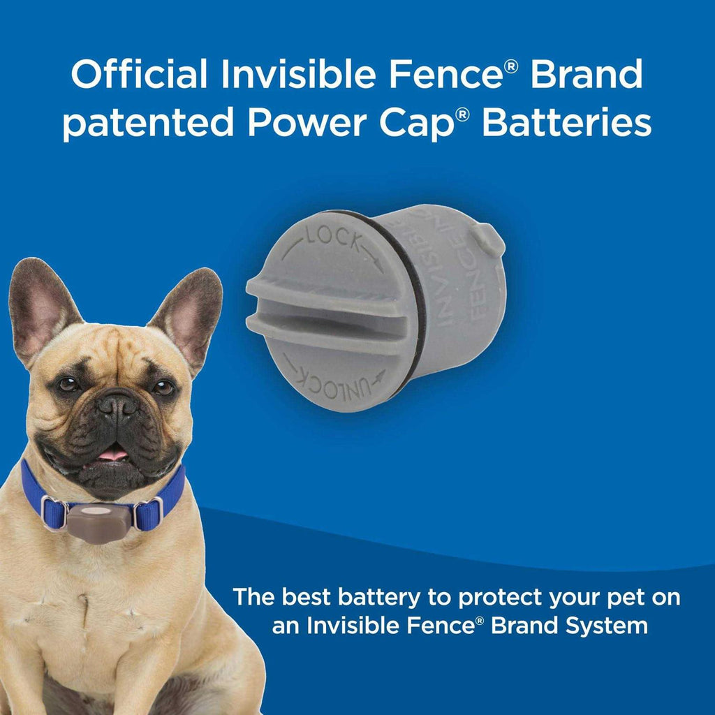 Power Cap Batteries X440