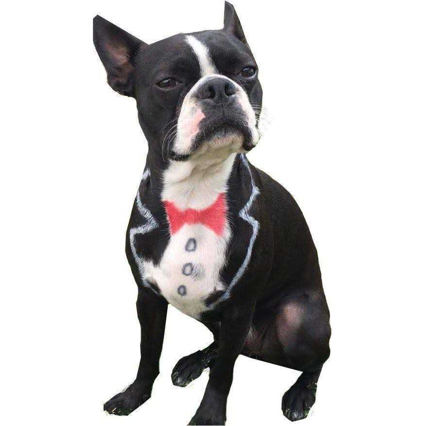 Pet Supplies B723