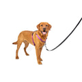 3 in 1 Harness K585